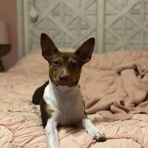 Meet your Posher, Huey’s Haberdashery